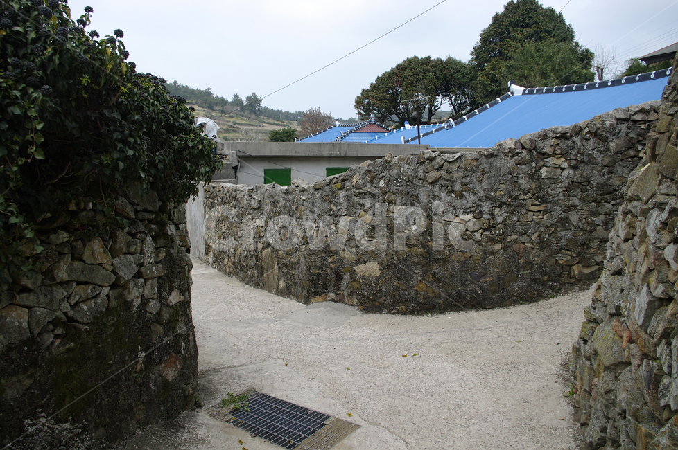골목길,돌담길,돌담,집,시골,길,시골,마을,풍경,landscape,country,rural,town,골목길,alley,flagstone,판석,slate,슬레이트,wall,벽