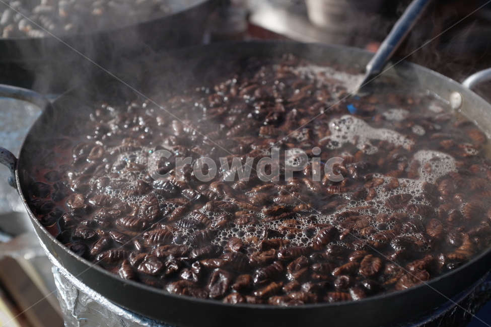 길거리음식,군것질,번데기,음식,영양간식,맛있음,불량식품,고동요리,바닷가,간식,바다간식