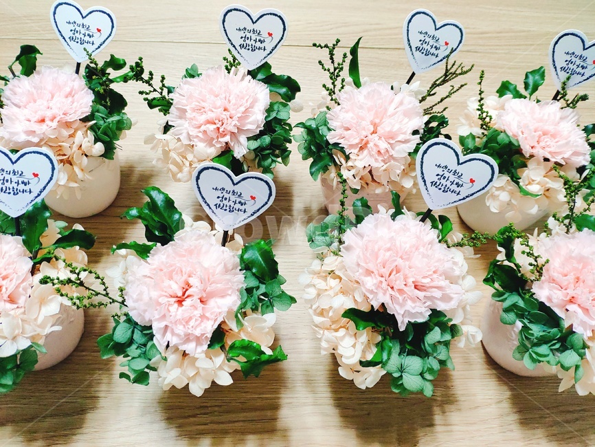 드라이플라워,꽃,선물,flower,카네이션,어버이날