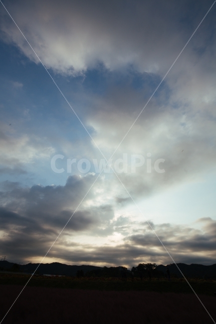 가을,하늘,감성,파랑,구름,자연,풍경,nature,landscape,weather,날씨,sky,outdoors,옥외,cloud,cumulus,적운