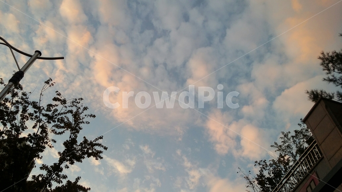 하늘,구름,풍경,자연,nature,cloud,자연,풍경,nature,landscape,weather,날씨,outdoors,옥외,sky,cumulus,적운