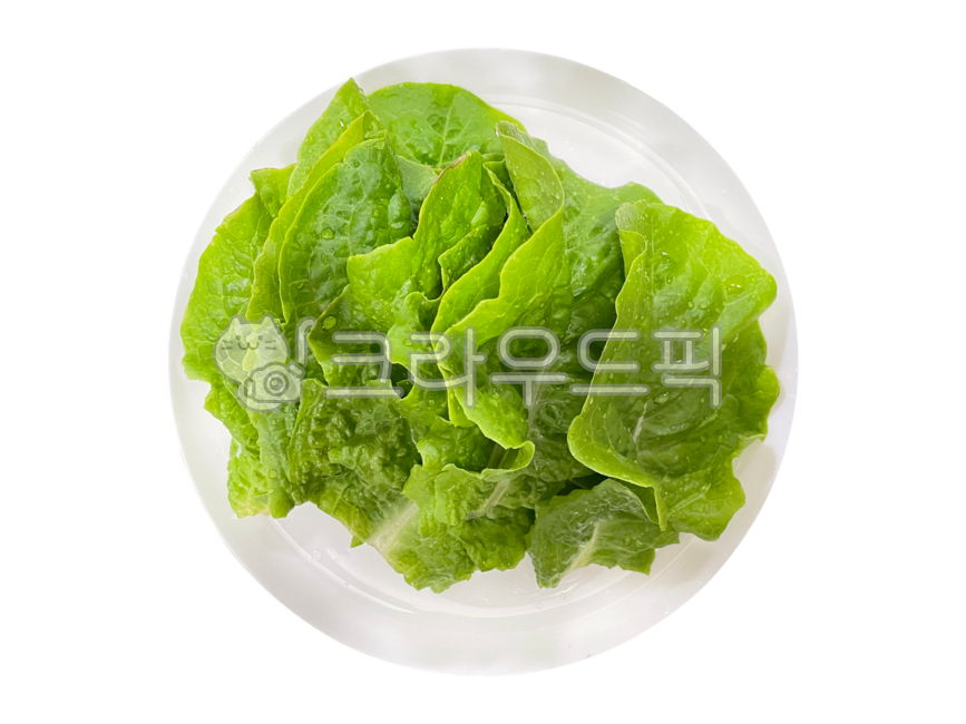 Lettuce,Ssam vegetables,green lettuce,vegetable,lettuce,salad ingredients