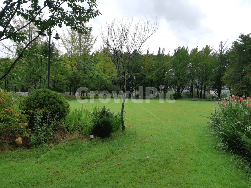 비오는정원,정원,양평,잔디,초록,자연,풍경,nature,landscape,grass,plant,식물,lawn