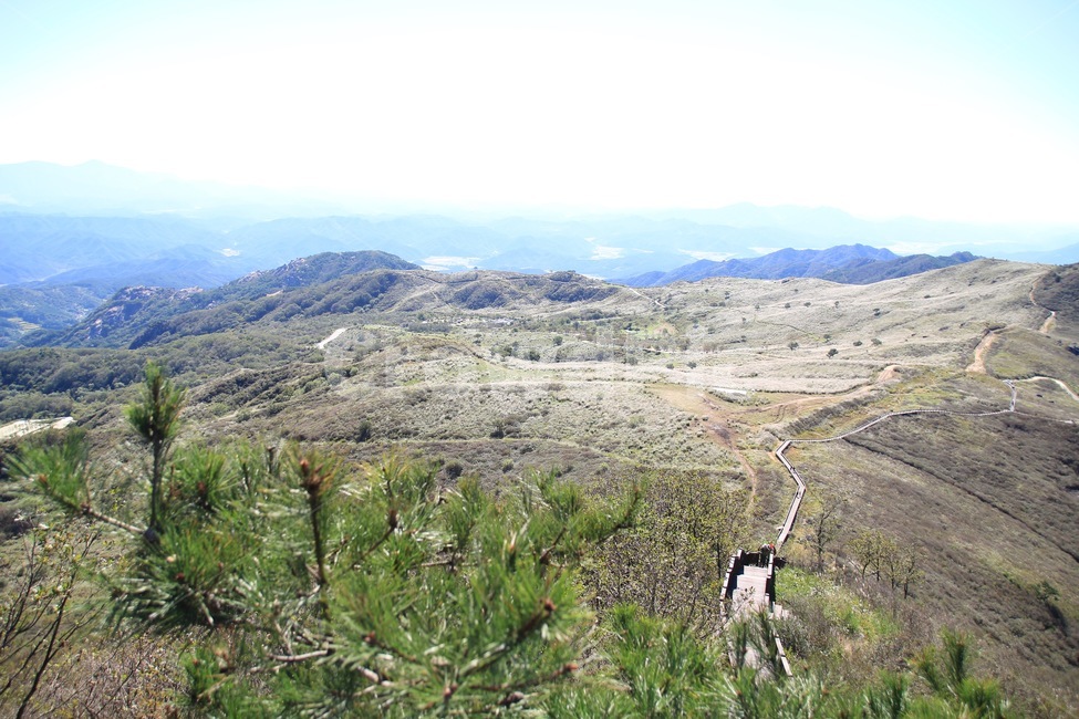 식물,억새,황매산,합천,가을풍경,가을,계절,fall,autumn,season,자연,풍경,nature,landscape,outdoors,옥외,slope,경사