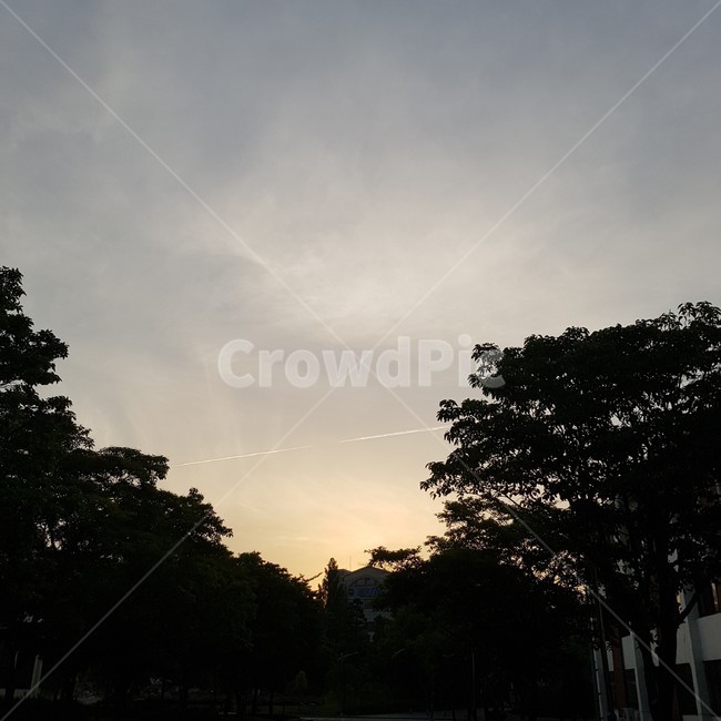 하늘,노을,저녁,스카이,나무,감성