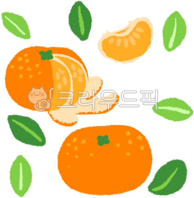 citrusfruit, 감귤류과일, food, 음식, fruit, 사진,이미지,일러스트,캘리그라피 - noweey작가