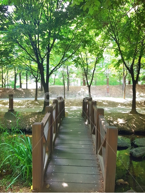 자연,나무,힐링,풍경,다리,시냇물