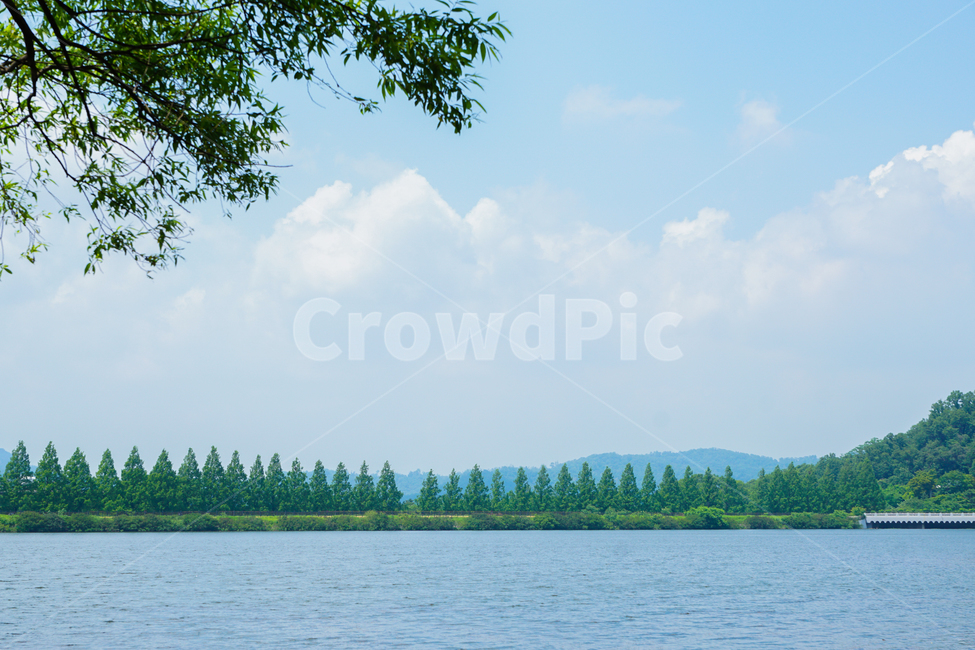 풍경,나무,하늘,구름,호수,여름,자연,landscape,tree,sky,cloud,lake,nature,summer,자연,풍경,nature,landscape,plant,식물,outdoors,옥외,water,물