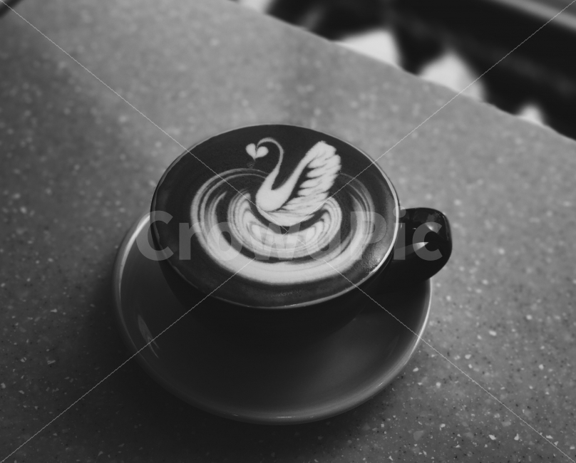 커피,카페라떼,라떼아트,백조,흑백사진,감성,커피,카페,coffee,cafe,흑백,모노톤,monochrome,black and white