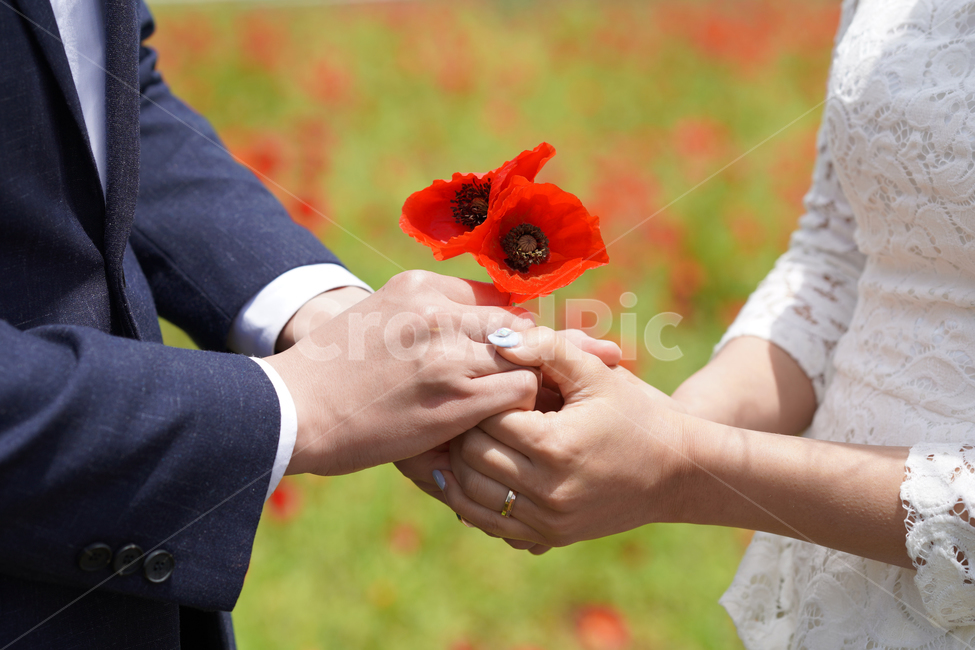 손,사랑,커플,동양,동양인,연인,아시아인,동반자,손잡기,결혼,행복,데이트,두손,손잡다,함께,신체,일부,사람,꽃,연인,커플,사랑,lover,couple,결혼,혼례,웨딩,wedding,marriage,marry
