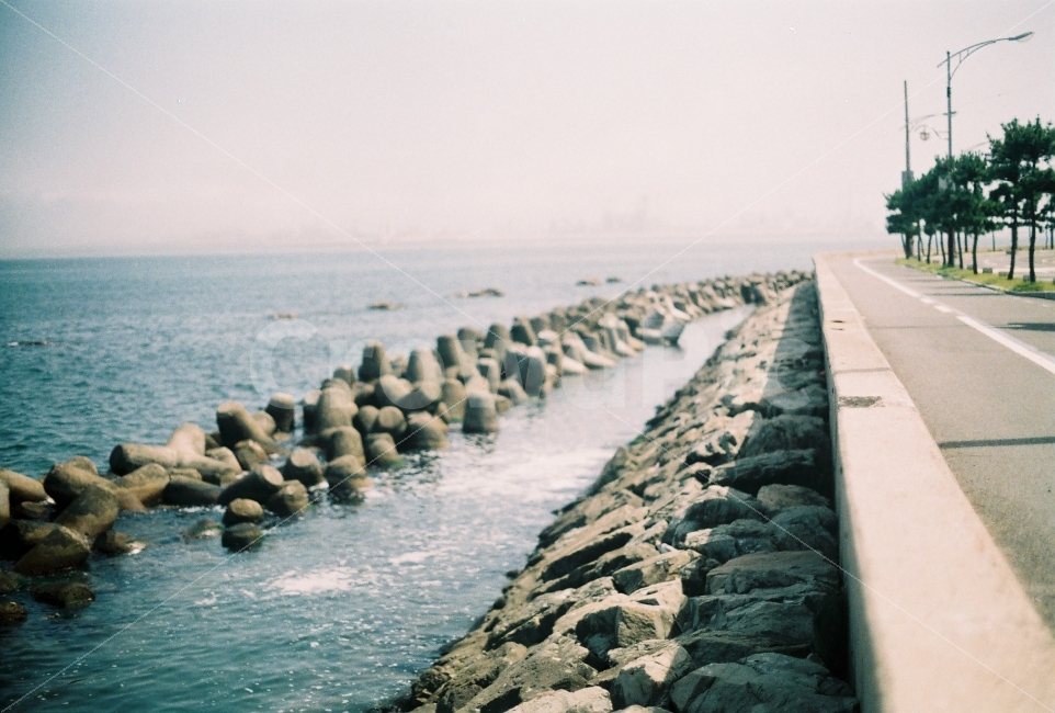 바다,sea,풍경,감성사진,필름사진,필름,감성,풍경사진,포항,방파제,자연,풍경,nature,landscape,감성,sensible,feeling,water,물