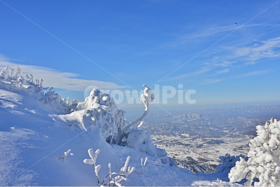 glacier,빙하,ice,빙,snow,nature,자연,landscape,경치,outdoors,옥외,향적봉,scenery,풍경,mountain,산,경관,무주,덕유산,설천봉,상제루,덕유산설경,상고대,눈,겨울,계절,중봉,겨울,계절,winter,season,자연,풍경,nature,landscape
