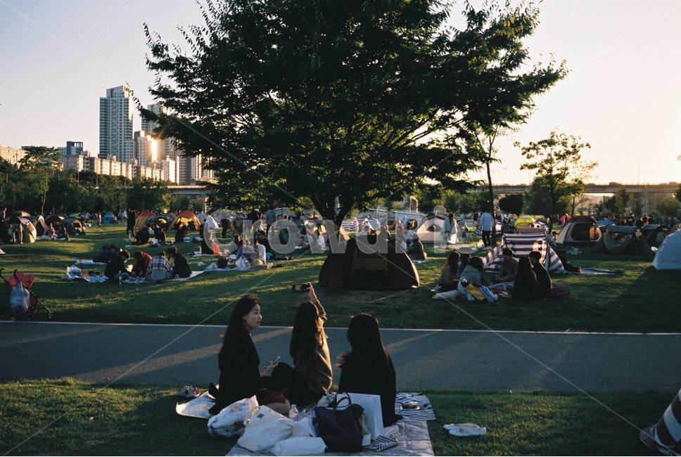 피크닉,한강,필름사진,한강피크닉,노을,돗자리,가을,나들이,봄,반포공원,hanriver,hangang,fall,picnic,film,tent,sunset,한강공원,도시,풍경,city,landscape,한국도시풍경,한국도시경관,korea cityscape,사람들,대중,군중,other people,crowd,휴식,힐링,rest,relaxation,healing,food,식품,meal,식사,음식