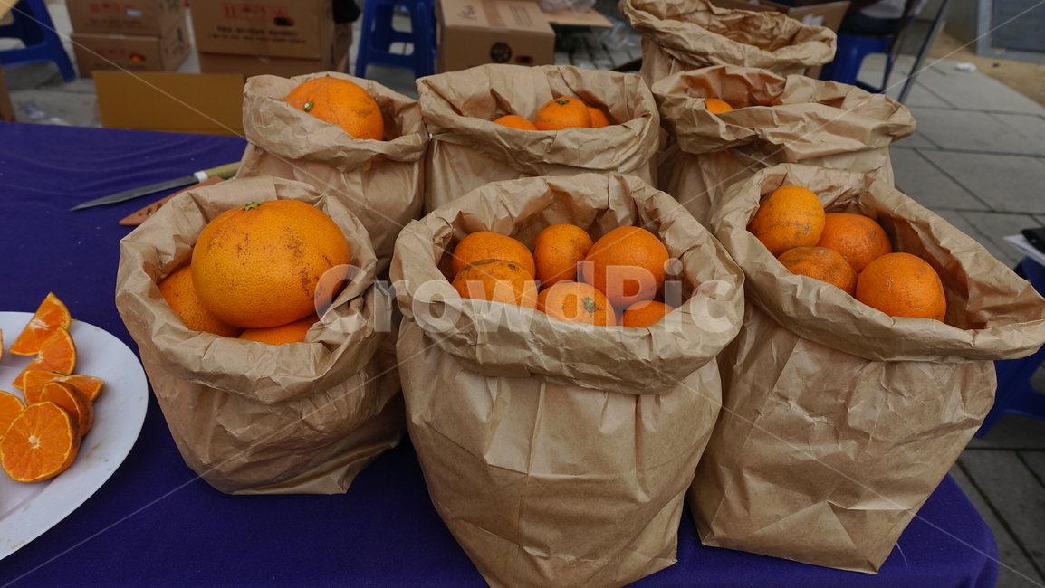 food,음식,citrusfruit,감귤류과일,plant,식물,fruit,과일,produce,귤,주황,orange