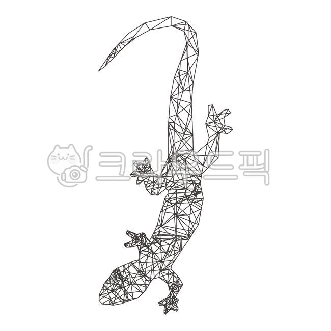 도마뱀,별자리,기하학,기하학무늬,lizard,리자드,뱀,카멜레온,파충류,개코,도롱뇽,개구리