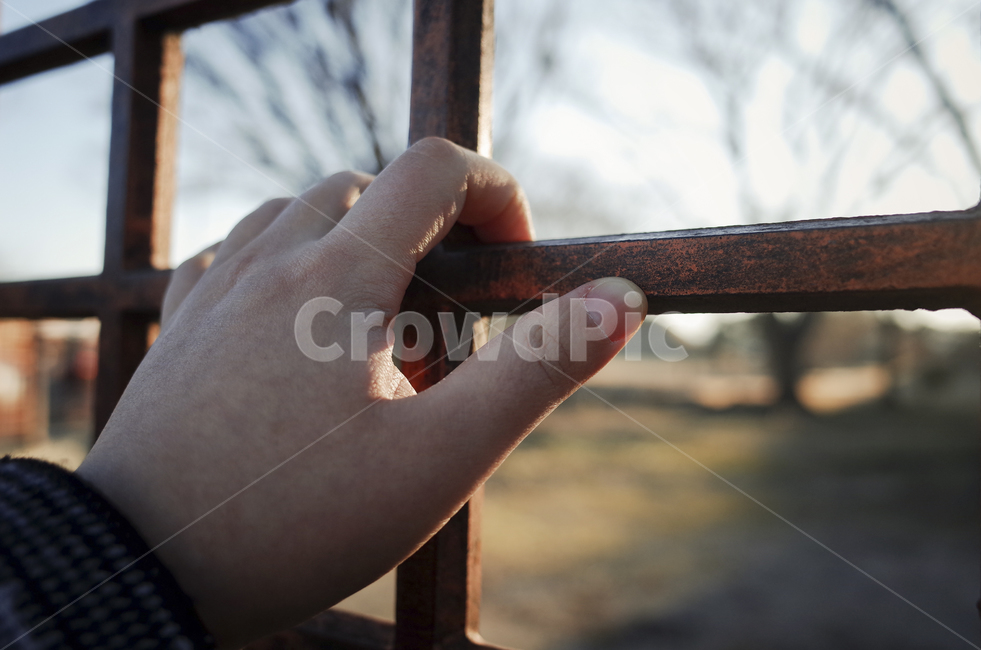 person,사람,human,인간,finger,손가락,펜스,문,door,fence,틀,frame