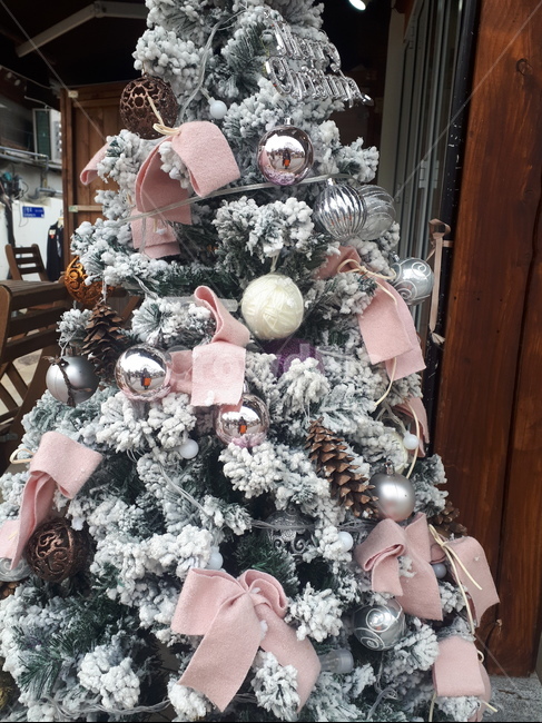 plant,식물,tree,나무,크리스마스,오너먼트,크리스마스트리,christmas