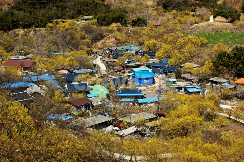 전남,구례,산동,현천마을,산수유마을,봄,nature,자연,outdoors,옥외,shelter,피난처,countryside,한지방,building,건물,rural,농촌,풍경,구례현천마을,산동현천마을,현천마을봄,산수유마을봄,봄,계절,spring,season,시골,마을,풍경,landscape,country,rural,town