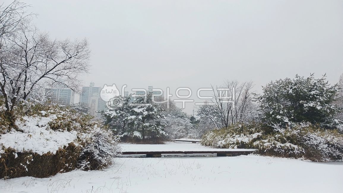 눈,설경,겨울,얼음,겨울풍경,함박눈,snow,snowscape,winter,ice,호수,일산호수공원,자연,옥외,눈보라,nature,outdoor,blizzard