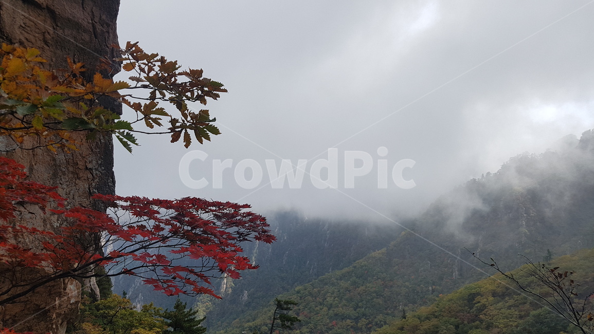 설악산,공룡능선,마등령,가을,단풍,운해,가을,계절,fall,autumn,season,자연,풍경,nature,landscape,weather,날씨