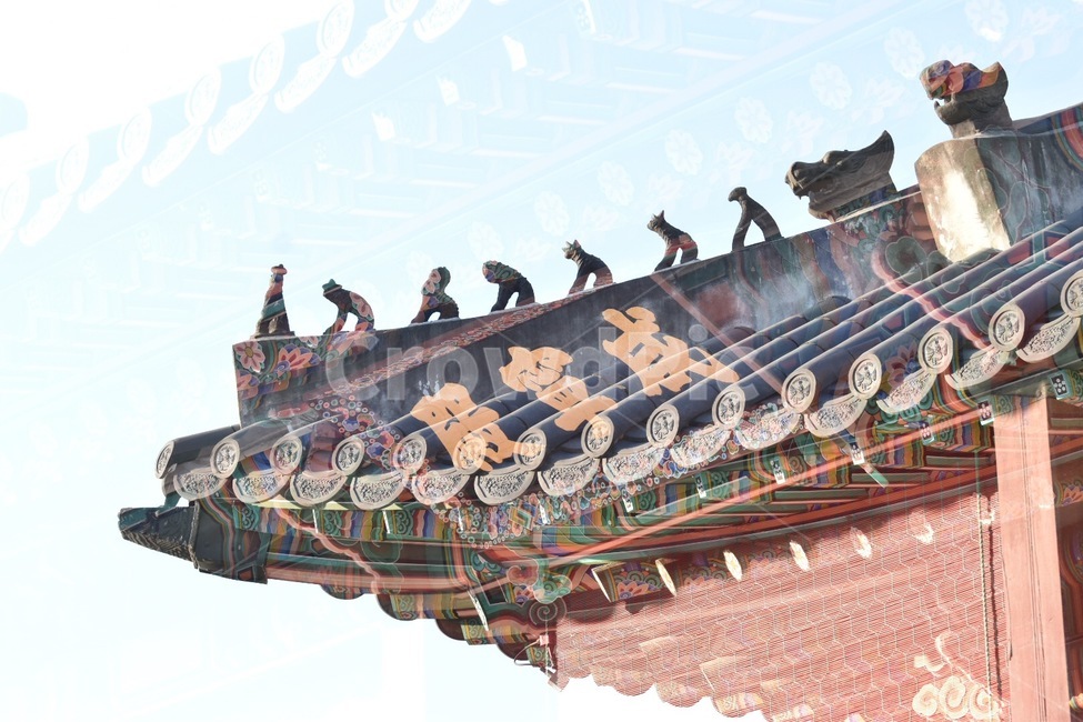 서울,기와,전통,한국,덕수궁,사회,역사,한국전통,문화재,외국인,한국여행,한국사진,감성사진,색감,고궁,덕수궁돌담길,서울여행,치미,한국전통,한국문화,korean traditional,korean culture,건축물,건물외관,exterior,building,structure,architecture,construction,연출,컨셉,콘셉,direction,concept