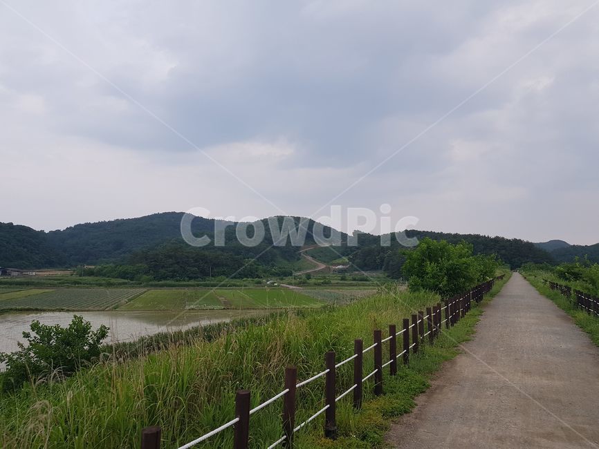 도로,road,옥외,자연,outdoors,자연,풍경,nature,landscape