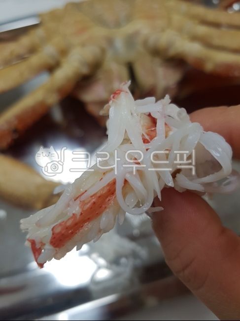 food,음식,seafood,해물,대게,러시아대게,홍게,crab,koreanfood,대게살,크랩