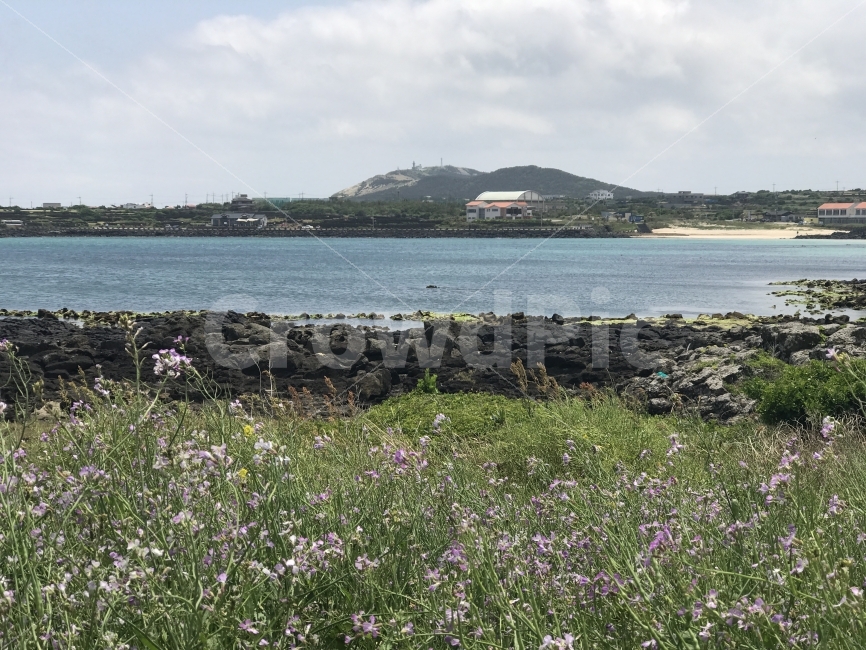 자연,감성,풍경,제주,원본,무보정,자연,풍경,nature,landscape,제주도,jeju,jeju island,land,땅,outdoors,옥외