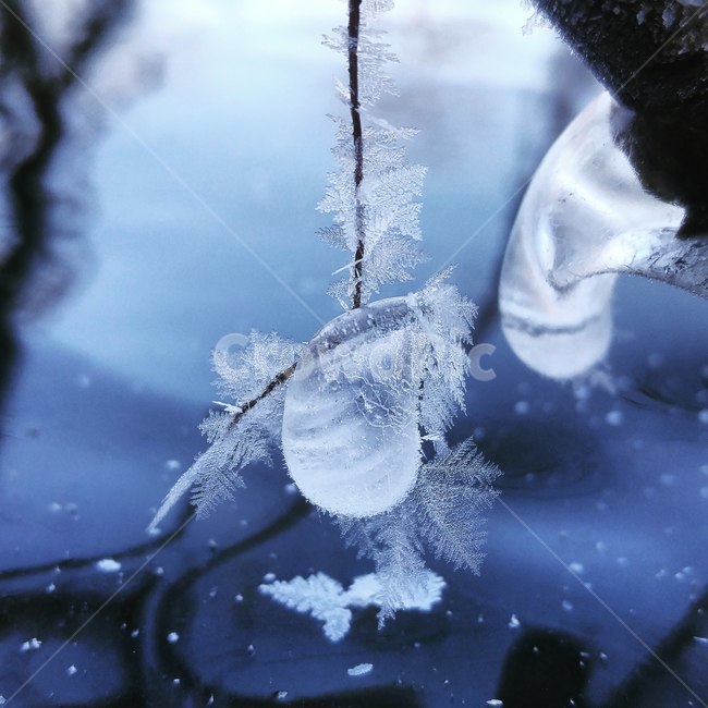 샹들리에,얼음,겨울,ice,서리,자연,하천,겨울,계절,winter,season