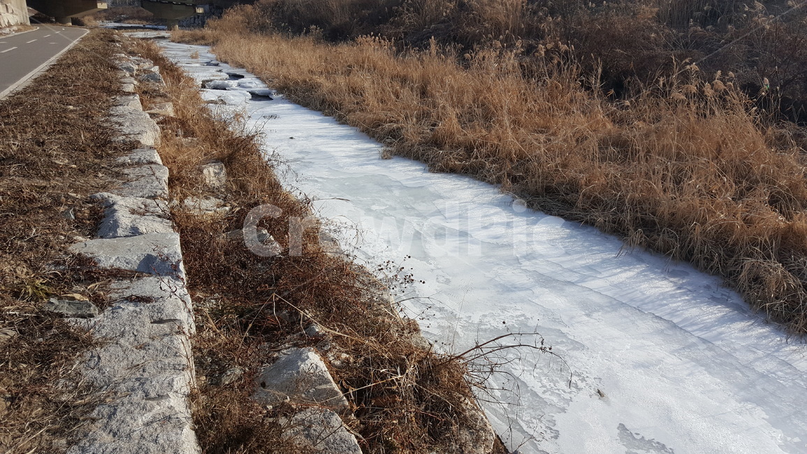 겨울,산책로,겨울풍경,야외,겨울산책로,공원,풍경,겨울,계절,winter,season,자연,풍경,nature,landscape