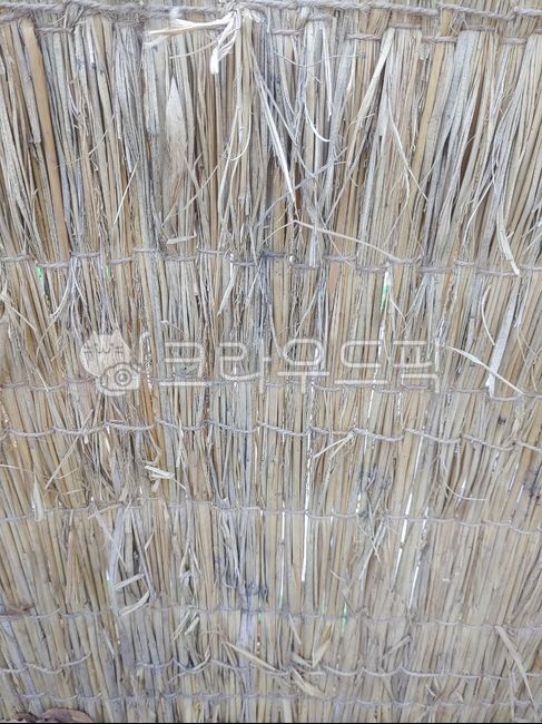 outdoors, 옥외, 자연, 지푸라기, 배경, 사진,이미지,일러스트,캘리그라피 - jimall작가