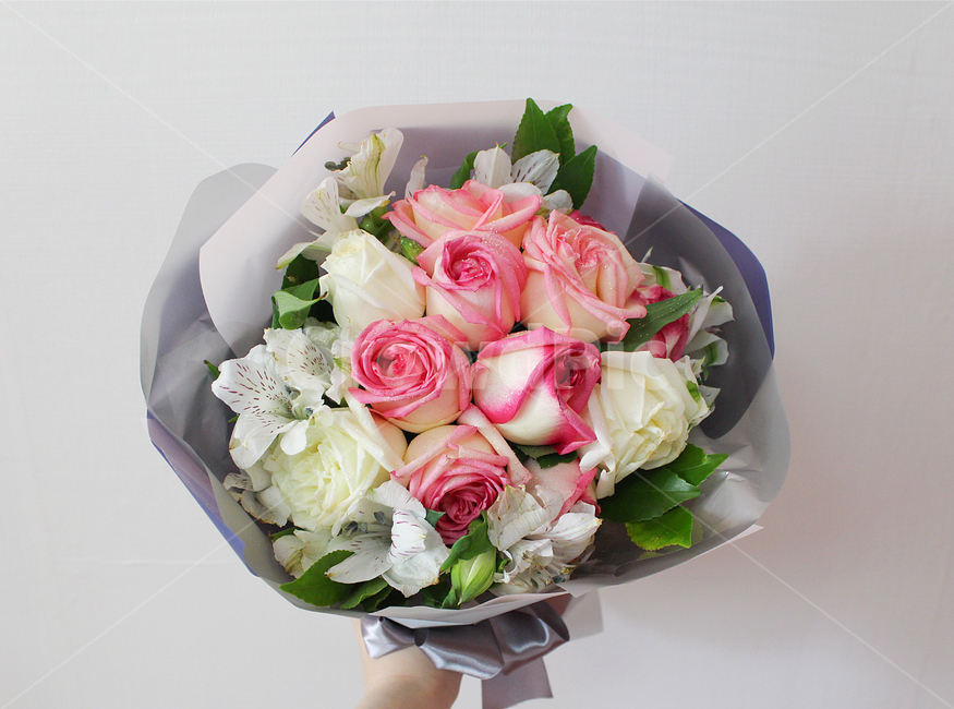 꽃,flower,장미꽃,rose,꽃다발,배경,background,사람없음,감성,feeling,기념일,축하,핑크,pink,nature,식물
