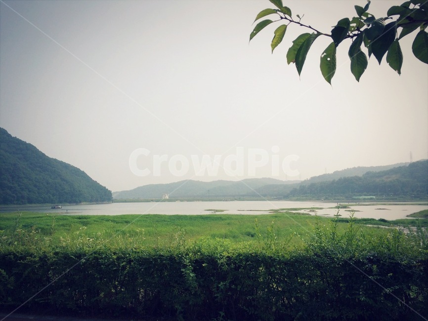 호수,호수공원,물,식물,옥외,outdoors