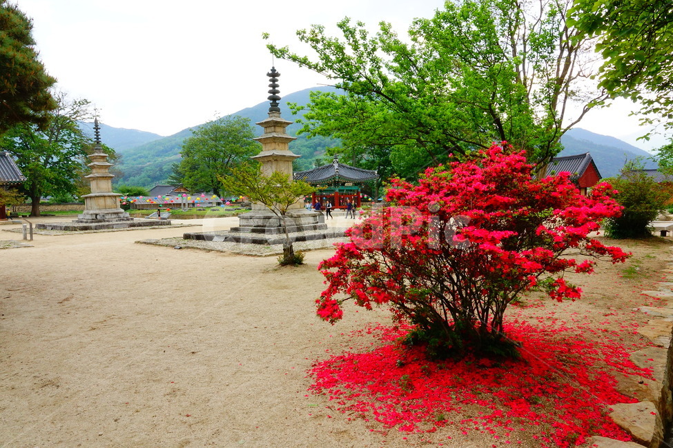 실상사,사찰,삼층석탑,국보,남원,조각상,동상,석상,조형물,statue,bronze statue,stone statue,종교,신앙,religion,belief,faith