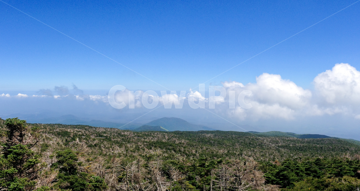 자연,풍경,제주도,한라산,하늘,산,구름,파랑,nature,landscape,jejuisland,hallasan,sky,자연,풍경,nature,landscape,outdoors,옥외
