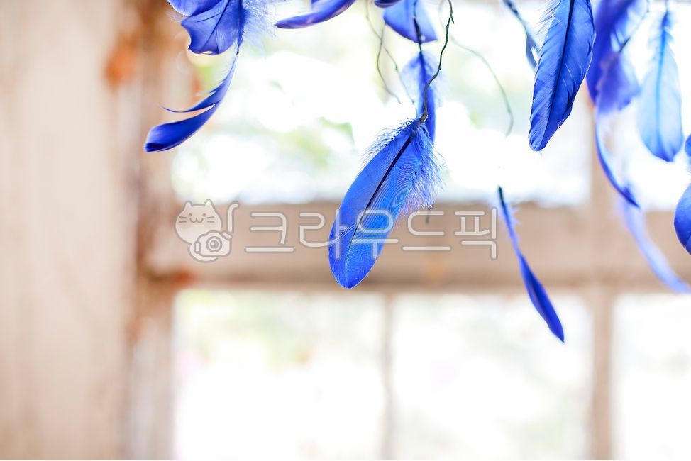 깃털,실내인테리어,파란깃털,장신구,소품