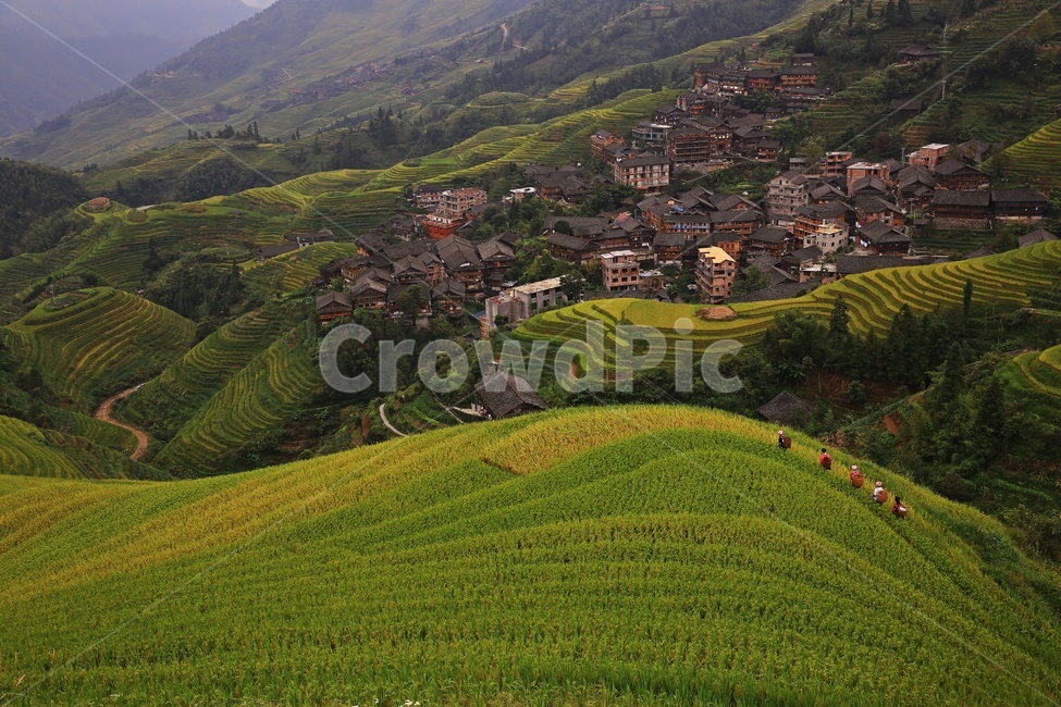 nature,자연,outdoors,옥외,scenery,풍경,landscape,경치,slope,경사,mountain,산,mountainrange,산맥,중국,계림,용척,용척제전,다랭이논,용척다랭이논,농업,농사,경작,농경지,집,가옥,사람,인간,원주민