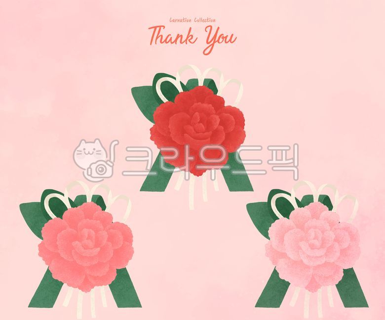 love,pink,In May,carnation,parentsday,thanks,petal,Carnation Corsage,carnations,Emotion,event,Thank you,corsage,Teachers day,family month,thankyou,Anniversary,appreciation,flower arrangement,message,Mothers Day,respect,flower,Red,badge,gratitude,illustrat