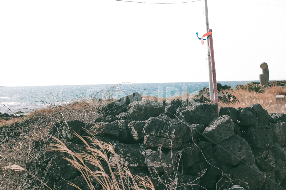 제주,겨울,감성,필름,설산,애월,제주도,자연,바다,산,제주도,jeju,jeju island
