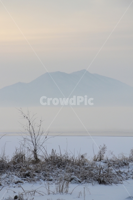 겨울풍경,아침안개,설경,나무,흐린날아침,겨울,계절,winter,season,자연,풍경,nature,landscape,outdoors,옥외,fog,안개