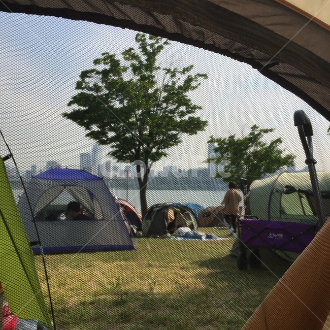 캠핑,한강캠핑,텐트,피크닉,잔디밭,한강,맑음,소풍
