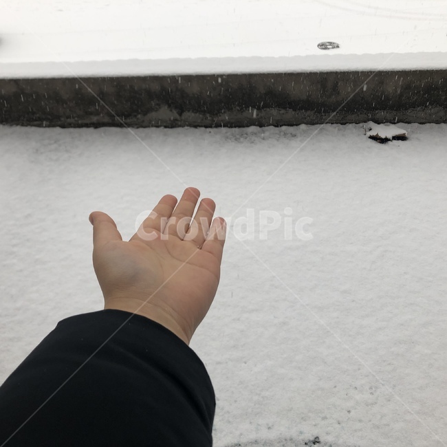 눈,손,겨울,패딩,계절,겨울,계절,winter,season