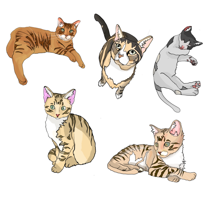 고양이,고양이그림,고양이일러스트,일러스트,cat,catillustartion,illustration,동물,animal,포유류,mammal,고양이,cat,kitten,kitty,그래픽,일러스트레이션,graphic,illustration
