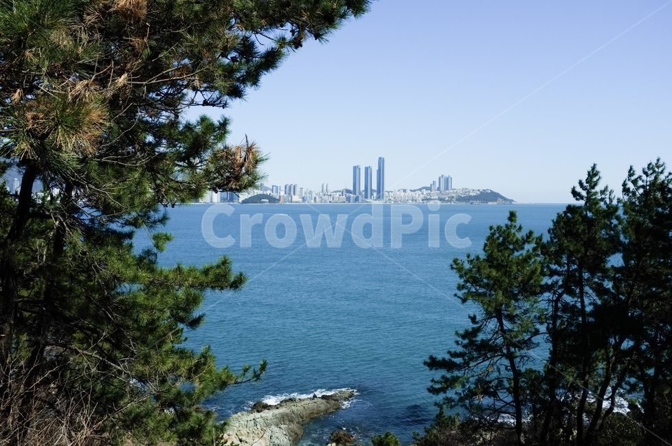 nature,자연,plant,식물,tree,나무,land,나라,outdoors,옥외,promontory,곶,water,물