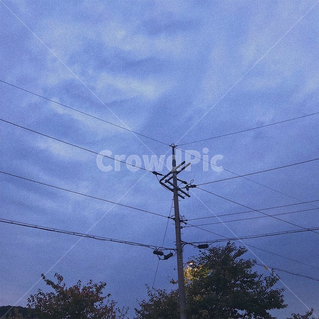 하늘,나무,전봇대,분위기,감성