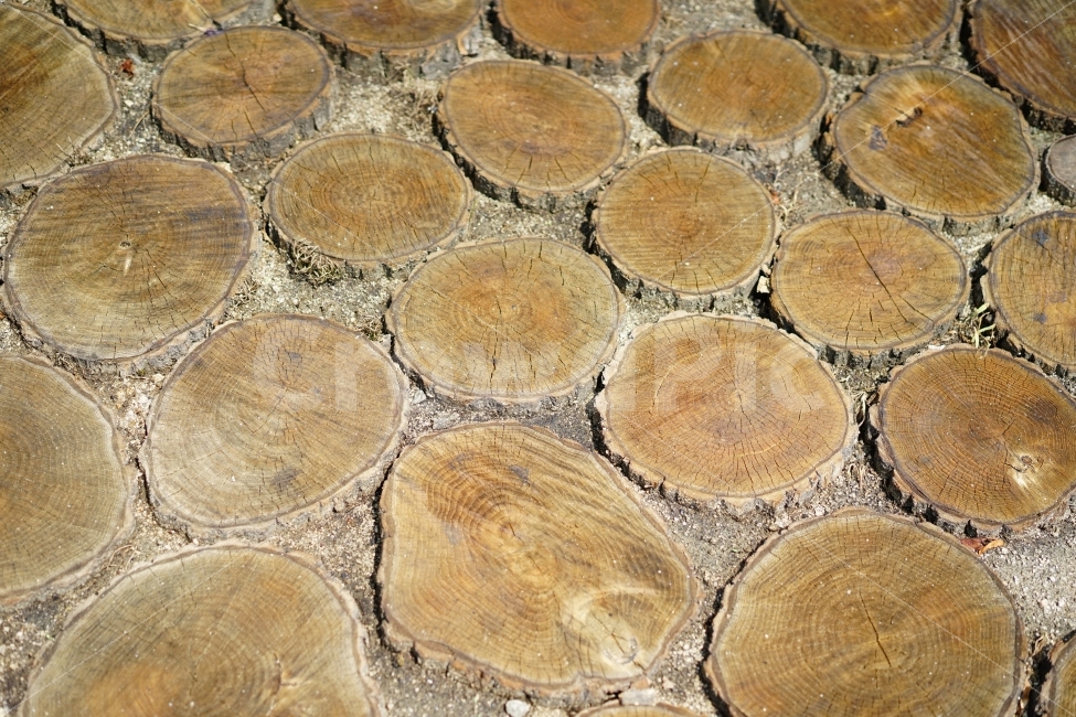 패턴,나무,원목,wood,우드,느낌,반복,율동,바닥,땅,재질,질감,식물,자연,plants,nature,텍스처,질감,패턴,texture,pattern