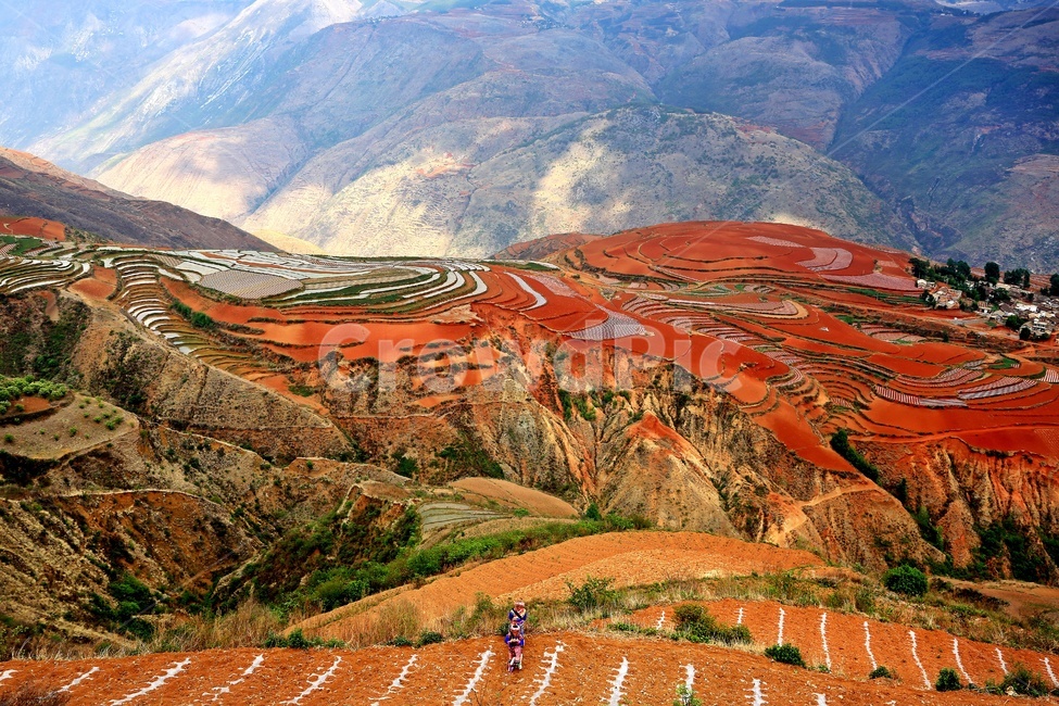 mountain,산,nature,자연,outdoors,옥외,landscape,경치,plateau,고원,scenery,풍경,hill,언덕,field,들,중국,운남성,홍토지,운남홍토지,비경,패턴,자연,풍경,nature,landscape,해외,외국,세계,foreign,oversea,world,세계자연풍경,해외자연풍경,외국자연풍경,world nature landscape