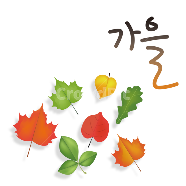 가을,단풍,낙엽,autumn,plant,식물,leaf,잎,캘리그라피,calligraphy,가을,계절,fall,autumn,season,그래픽,일러스트레이션,graphic,illustration