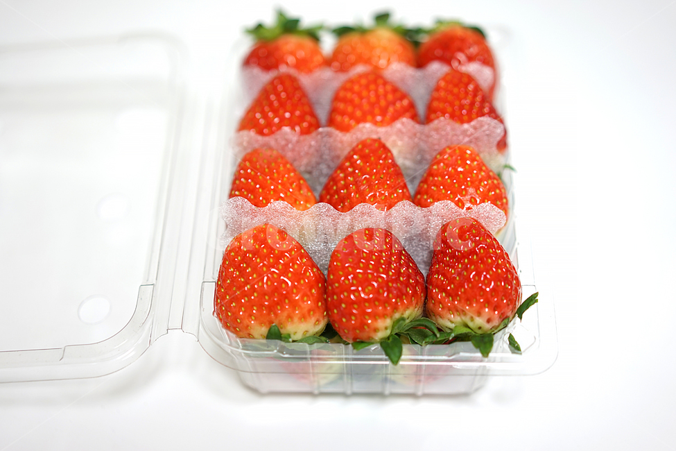 딸기,strawberry,과일,음식,겨울철과일,빨강,레드,red,베리,신선,스트로베리,음식,식재료,요리,food,cook,meal,dishes,food reserves,과일,열매,fruit