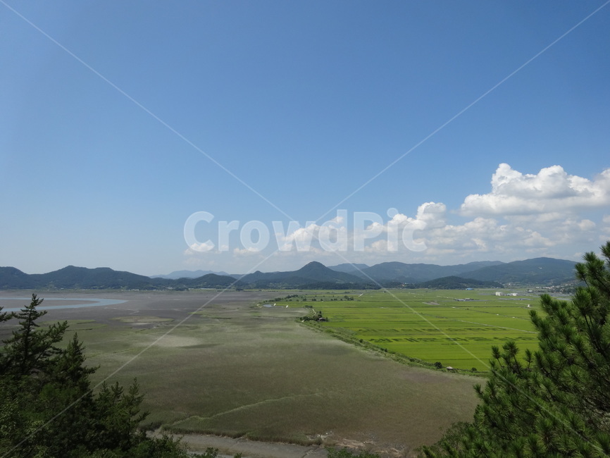 nature,자연,field,들,scenery,풍경